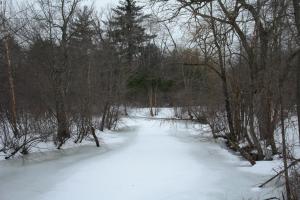 Hampshire Road in Methuen