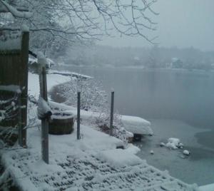 Forest Lake in Winter